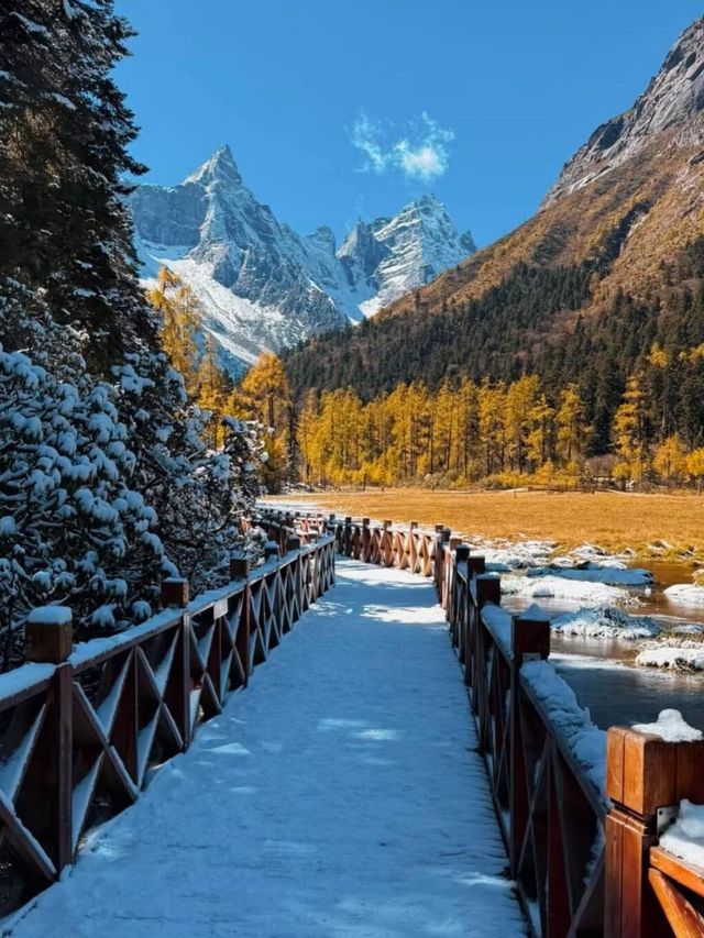 畢棚溝彩林觀賞指南11-12月絕美雪景避坑全攻略 畢棚溝彩林觀賞指南11-12月絕美雪景避坑全攻略