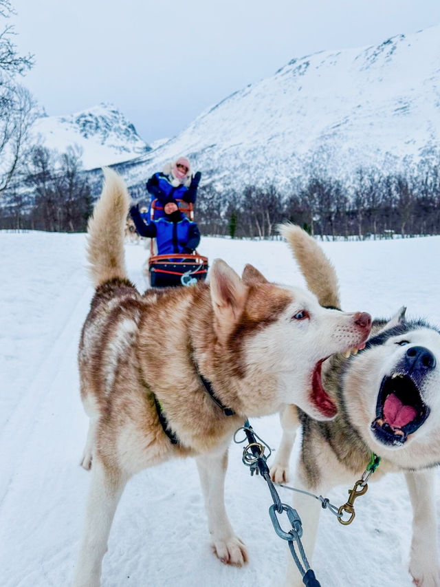 冰川摩托馳騁雪原*巨魔峽灣遊船巡航