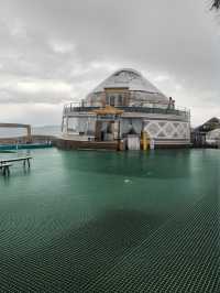 6日伊寧秋遊攻略必收藏