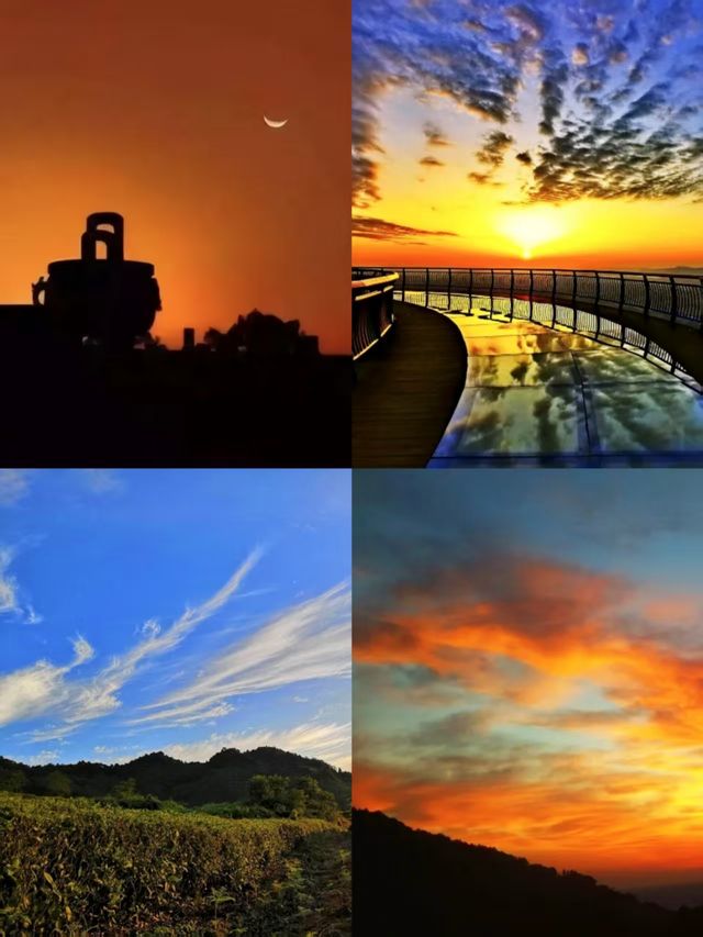 蒙頂山登天蓋寺觀雲海觸摸天空的藍