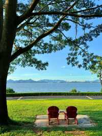 在深圳！找到了《怦然心動》同款的浪漫！