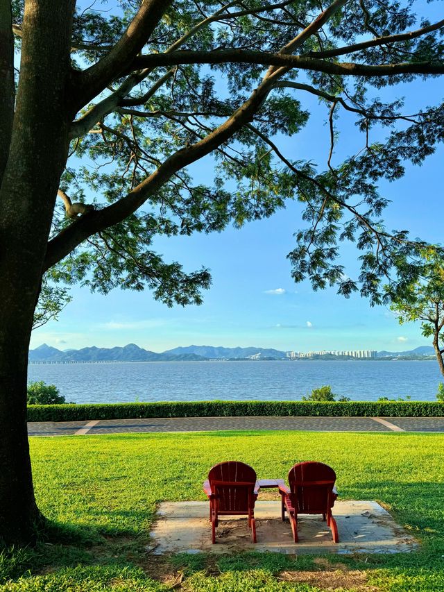 在深圳！找到了《怦然心動》同款的浪漫！