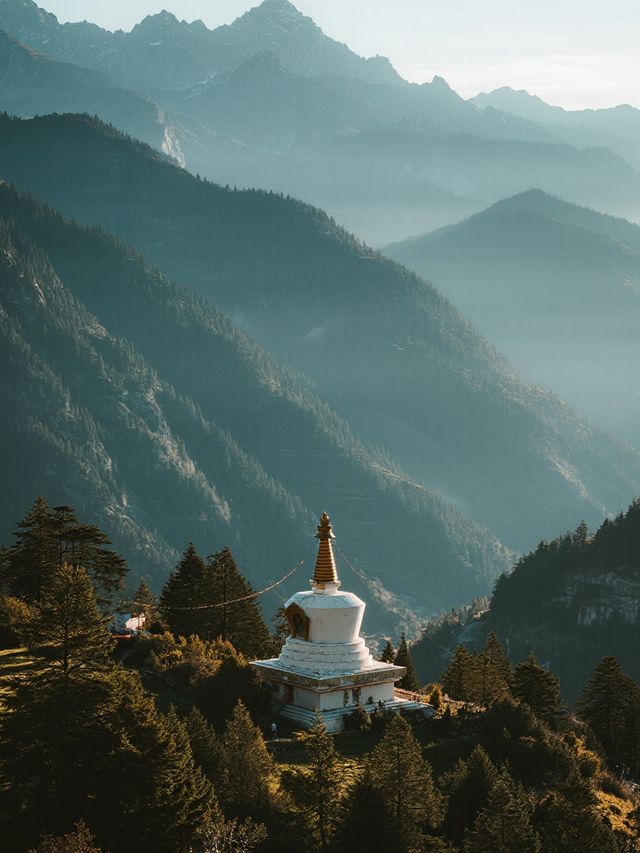 青西郊野公園親子賞秋水杉林免費遛娃攻略 青西郊野公園親子賞秋水杉林免費遛娃攻略