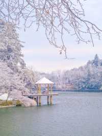 廬山的第一場霧淞好美！！