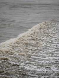 是小學課本上的海寧鹽官錢塘江觀潮