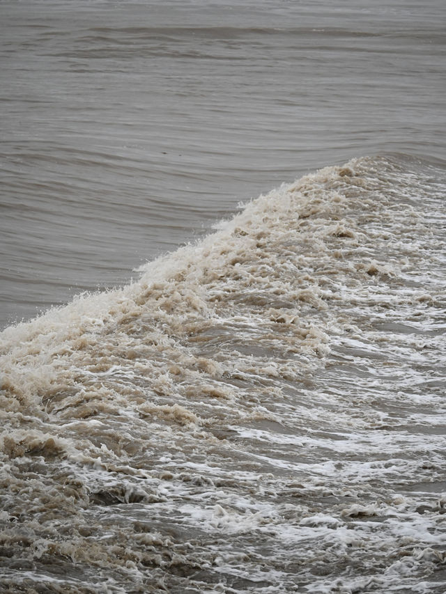 是小學課本上的海寧鹽官錢塘江觀潮