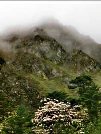 秋冬梅里雪山徒步全攻略日照金山+徒步安全指南