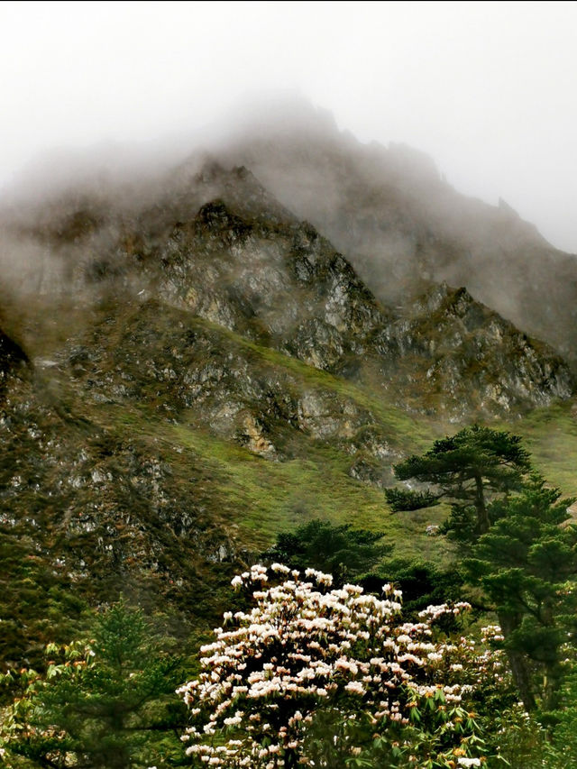 秋冬梅里雪山徒步全攻略日照金山+徒步安全指南