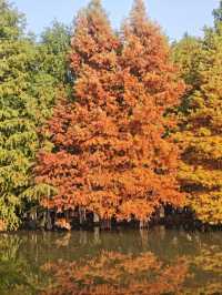 高效打卡經典路線，親測不踩雷！