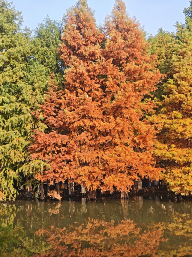 高效打卡經典路線，親測不踩雷！