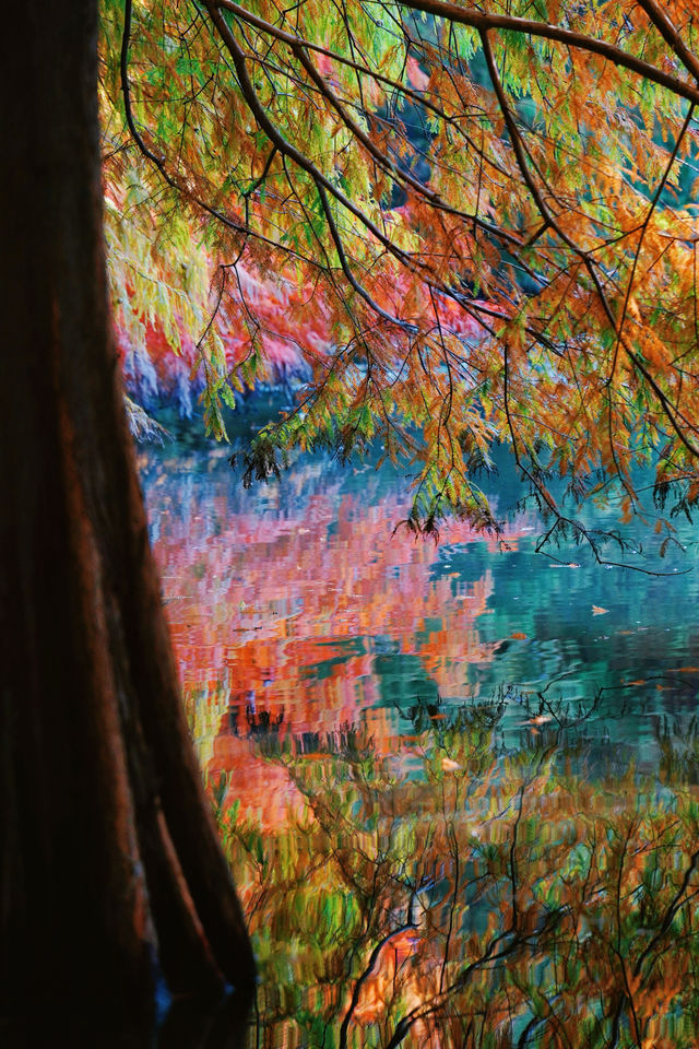 一腳跌進燕雀湖油畫森林 一腳跌進燕雀湖油畫森林