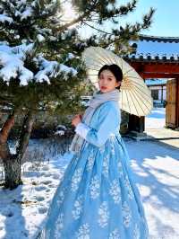 去哈爾濱旅遊前必看！實用攻略直接抄作業！