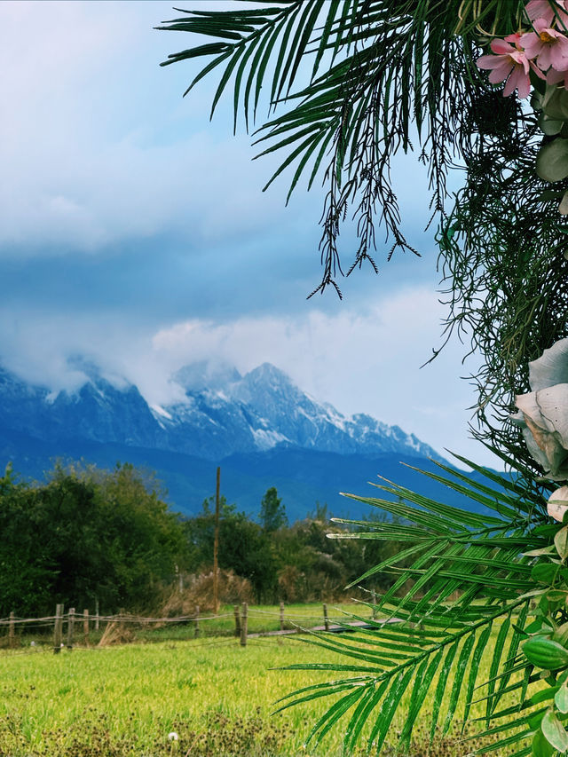 來麗江必拍雪山仙境