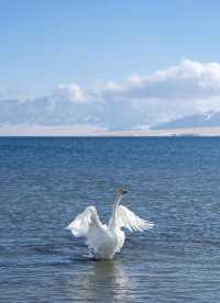 冬遊賽里木湖｜人均1k+玩雪攻略