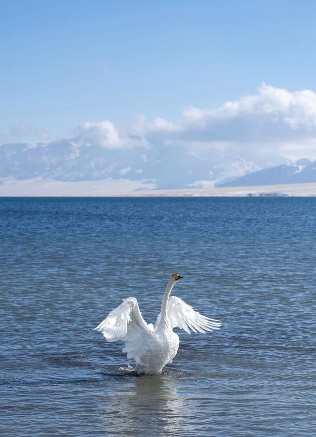 冬遊賽里木湖｜人均1k+玩雪攻略