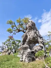 南灣花鎮，一定要來！！！