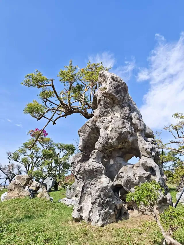 南灣花鎮，一定要來！！！