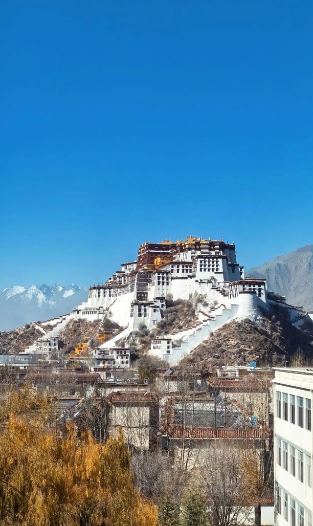 【震撼心靈的聖地】西藏深度攻略,帶你開啟一場心靈洗禮!? 【震撼心靈的聖地】西藏深度攻略,帶你開啟一場心靈洗禮!?