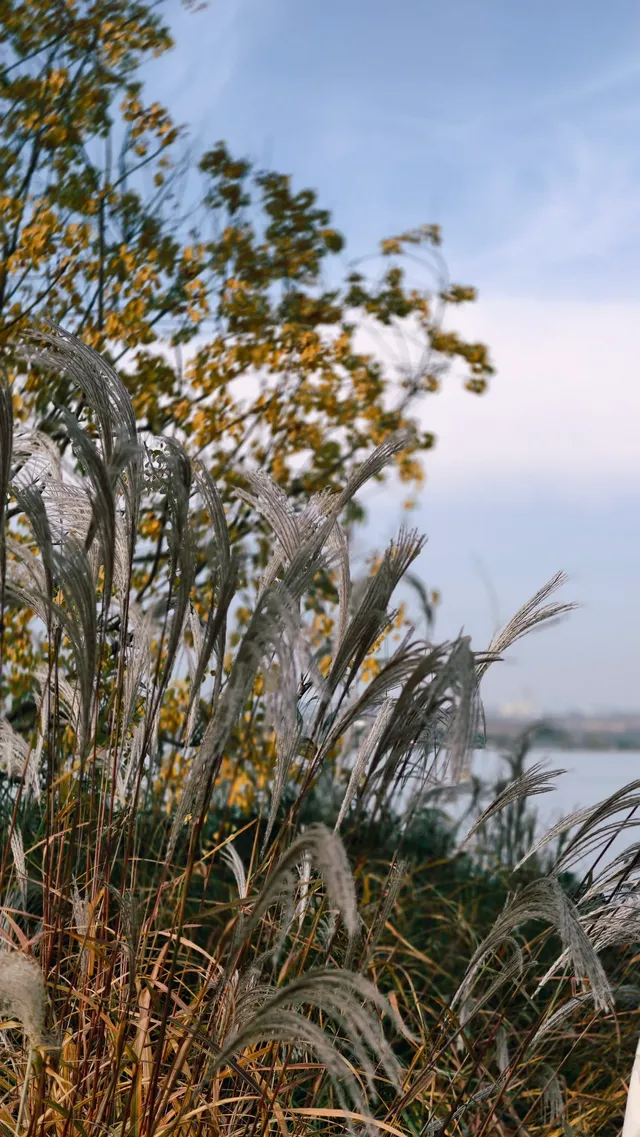 家門口的詩與遠方 | 在禹州谷堆白沙 家門口的詩與遠方 | 在禹州谷堆白沙