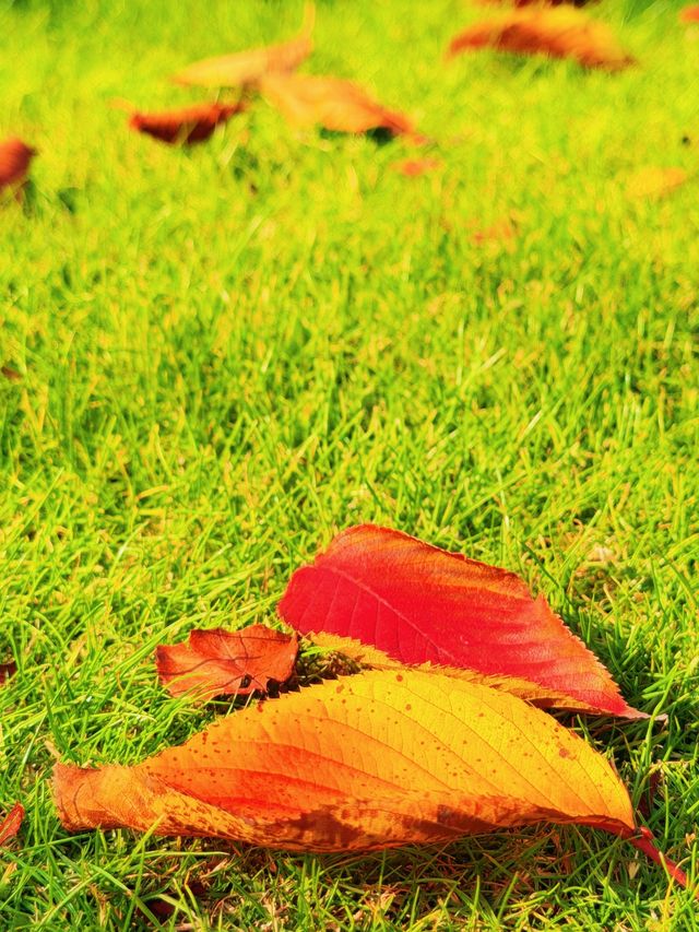 上海的秋日藝術巡禮