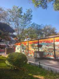 深秋初冬的西安大雁塔半日遊也太愜意了吧！