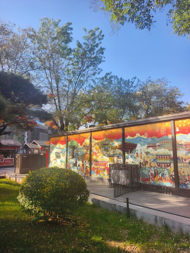 深秋初冬的西安大雁塔半日遊也太愜意了吧！