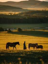 呼倫貝爾親子遊，夏日的清涼童話