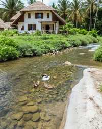 仙境德夯·別樣湘西 | 解鎖中國最高瀑布,邂逅雲端苗寨與大橋奇觀