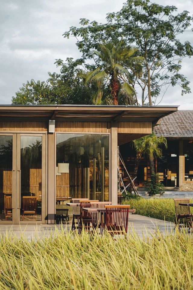 呢次清遠之旅真係太放鬆喇,尤其係入住嘅清遠三禾稻里溫泉度假村,簡直就係一個藏喺田園裡嘅寶藏酒店!周 呢次清遠之旅真係太放鬆喇,尤其係入住嘅清遠三禾稻里溫泉度假村,簡直就係一個藏喺田園裡嘅寶藏酒店!周