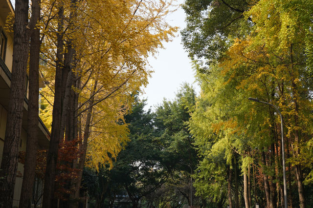 週末追光指南|私藏一整座成都的暖陽 週末追光指南|私藏一整座成都的暖陽