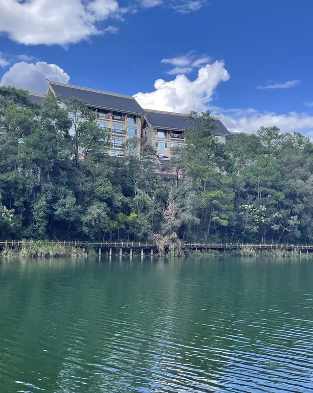 雲南普洱|「梅子湖公園」城市裡的天然氧吧 雲南普洱|「梅子湖公園」城市裡的天然氧吧