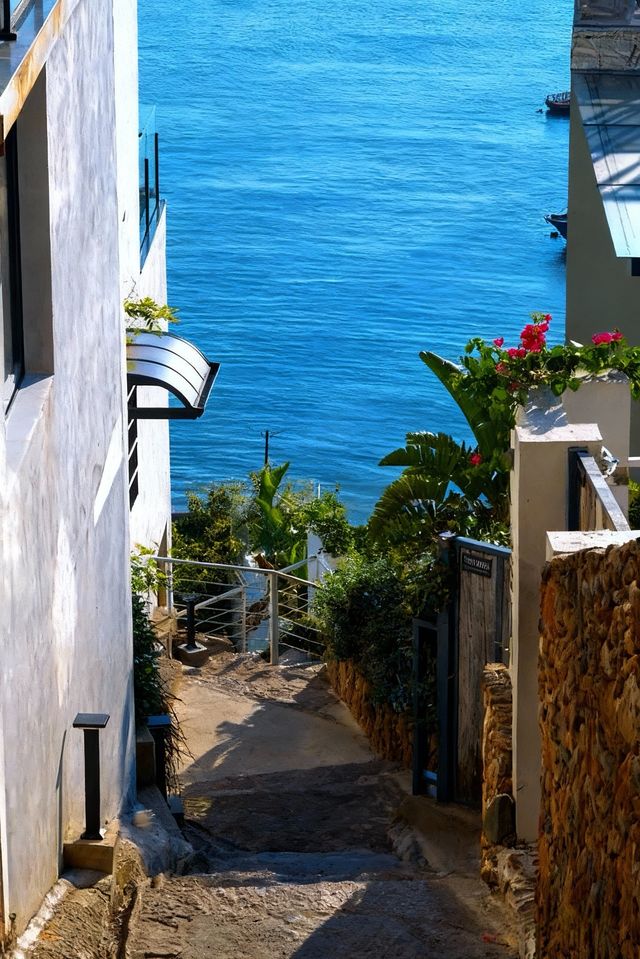 人回來了，心還在霞浦