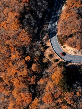 Hefei 1 hour | Jinzhai's autumn scenery is divine, perfect for family outings and team building.