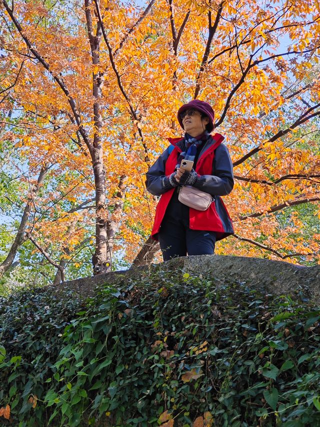 蘇州木瀆古鎮&東方之門 蘇州木瀆古鎮&東方之門