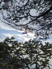 竹林寺∽廬山“空中佛國”！