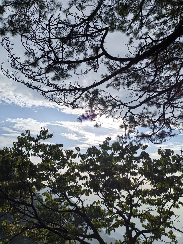 竹林寺∽廬山“空中佛國”！