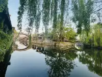 「南潯不難尋」 帶娃闖入一場江南舊夢