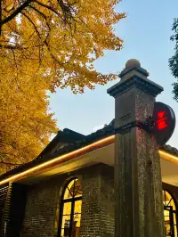 11.30蘇大銀杏實況|想要的色彩這都有