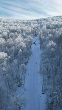 雪谷生存指南:零下30℃的童話世界,南方人也能活下來!