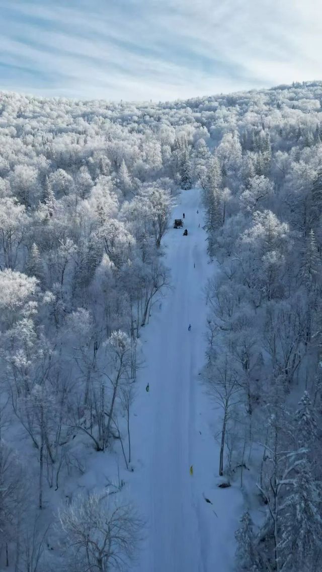 雪谷生存指南:零下30℃的童話世界,南方人也能活下來! 雪谷生存指南:零下30℃的童話世界,南方人也能活下來!