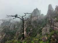 三清山悟道指南：一場與花崗岩峰林的雲端對話