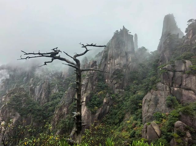 三清山悟道指南：一場與花崗岩峰林的雲端對話