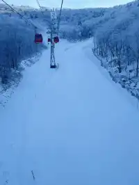 今日北大湖霧淞大賞,最強看霧淞攻略