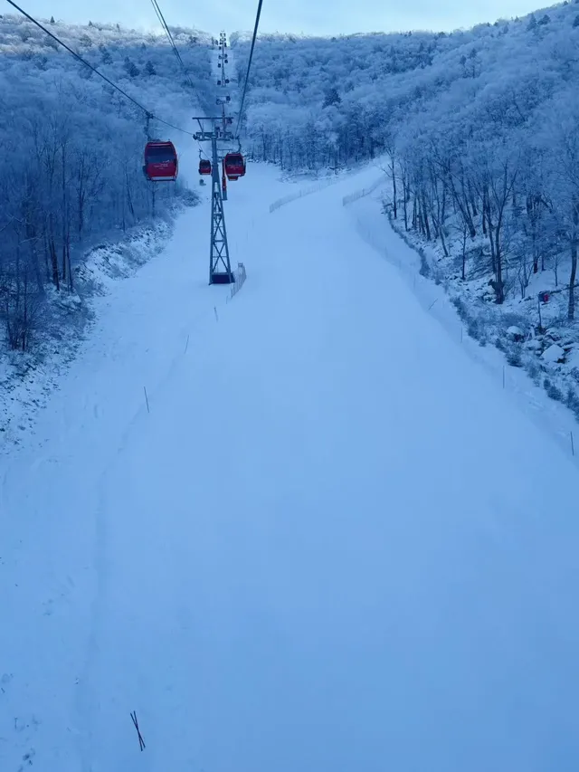 今日北大湖霧淞大賞,最強看霧淞攻略 今日北大湖霧淞大賞,最強看霧淞攻略