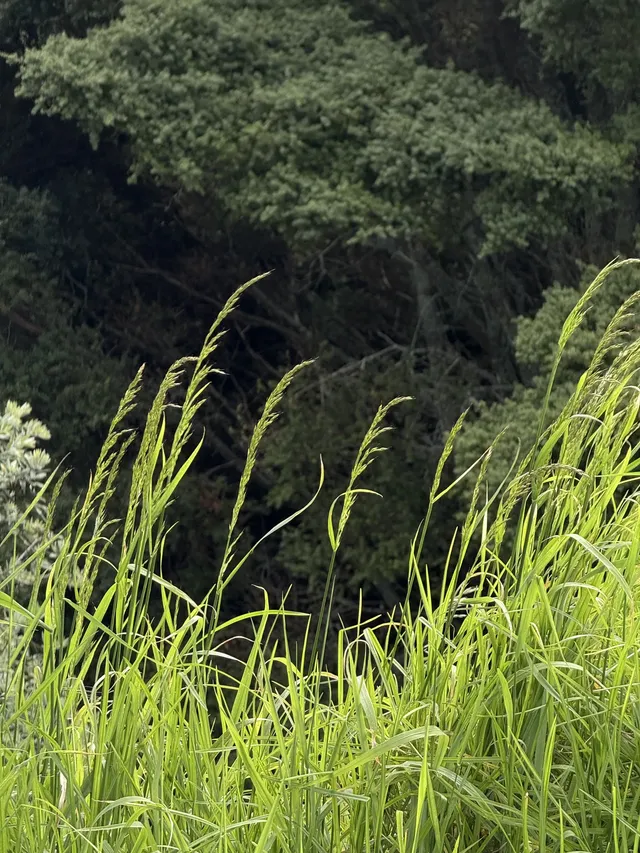 陰天 在奧克蘭city的周邊 陰天 在奧克蘭city的周邊