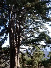 南五臺山保姆級攻略(11.23實拍)