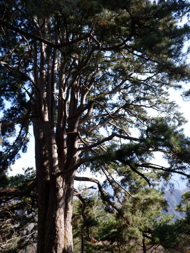 南五臺山保姆級攻略(11.23實拍) 南五臺山保姆級攻略(11.23實拍)