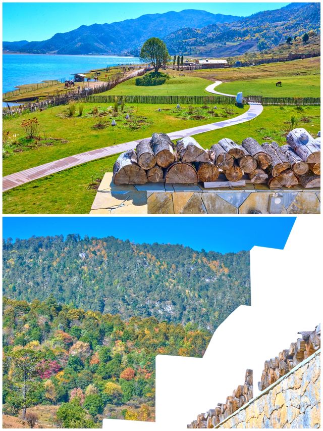 麗江版宮崎駿世界！這家雪山野奢酒店也太治癒了吧