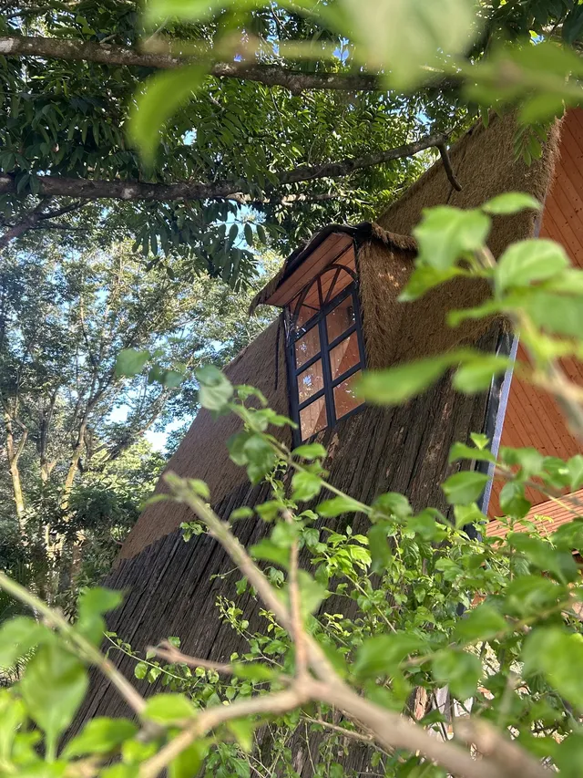 潮州吸氧|橄欖小莊愜意好時光