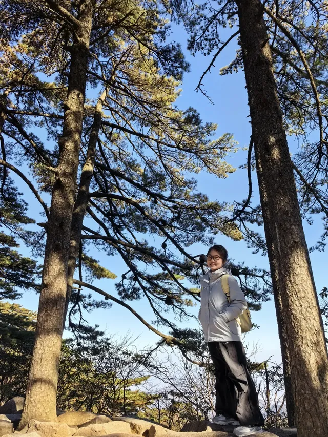 11.28登黃山後復盤 11.28登黃山後復盤